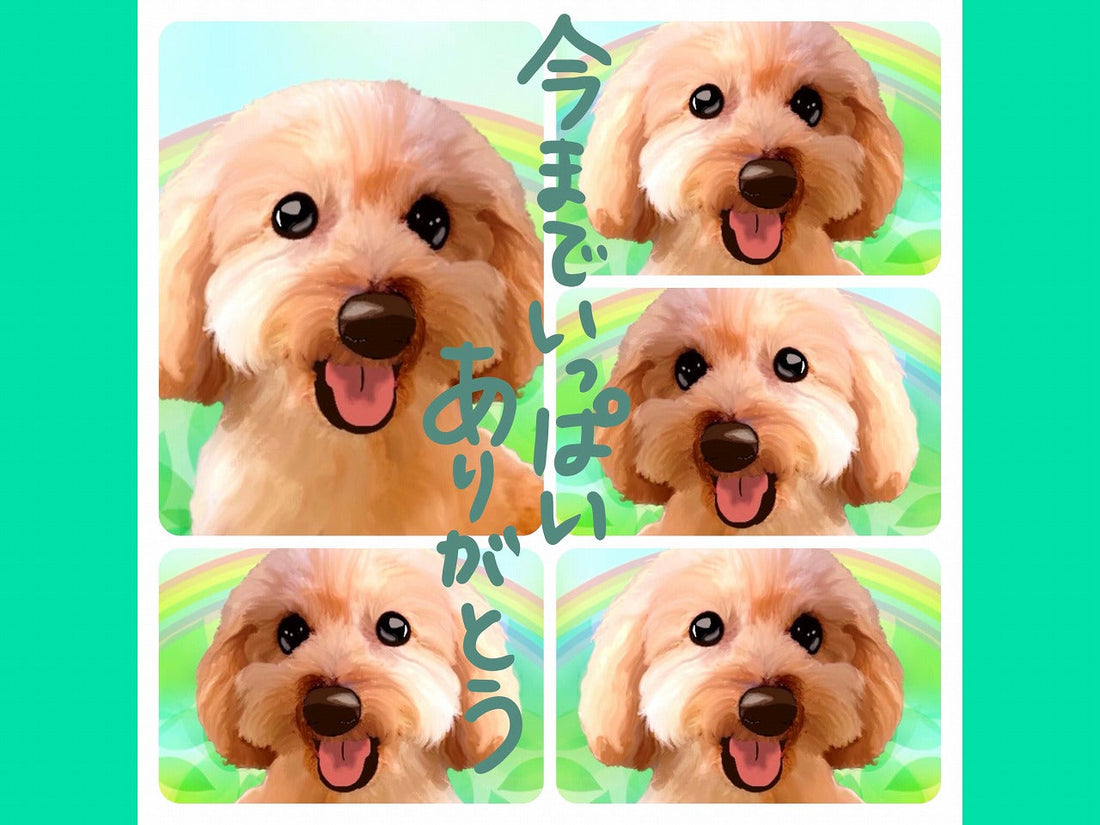 この季節に想うこと