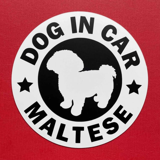 犬（マルチーズ_WH）マグネット ステッカー 防水 車用