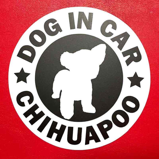 犬（チワプー_WH）マグネット ステッカー 防水 車用