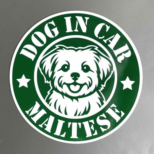 犬（マルチーズ_face一色）スタバ風 マグネット ステッカー 防水 車用
