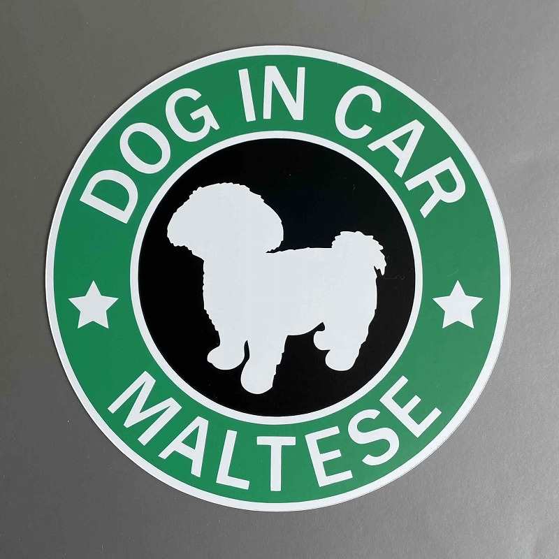 犬（マルチーズ）マグネット ステッカー 防水 車用