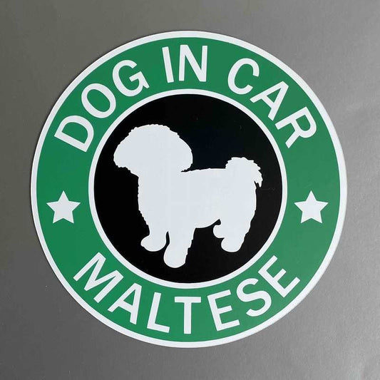 犬（マルチーズ）マグネット ステッカー 防水 車用
